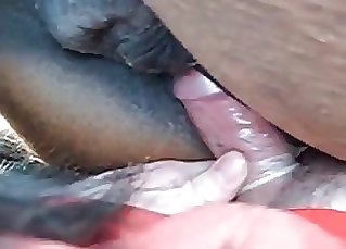 Sticking my dick in a tight pony anus