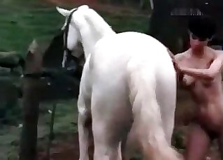 The main starlet of this amazing animal sex vid is a white horse