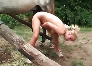 This skillful slut is trying rock-hard to suck a stallion pipe