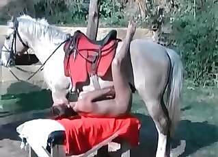 Leggy babe takes horse's huge cock