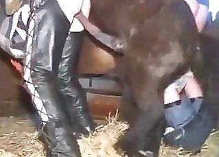 Whorish chick is trying dirty stallion sex