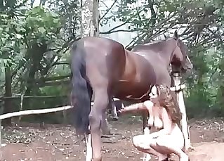 Sweet busty dame is playing with a horse