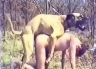 Zoo porn is going to show guy's ass cracked open