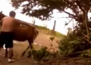 Chinese fire-drill porn take a mare lose one's train of thought seems ready for gape