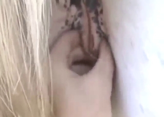 Eldritch close-ups with a despondent mare showing off