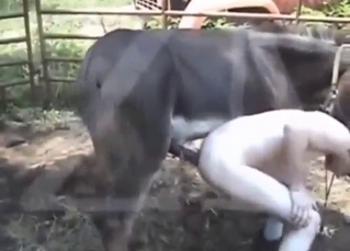 Gorgeous DONKEY DONG gets beside thing embrace a zoophile