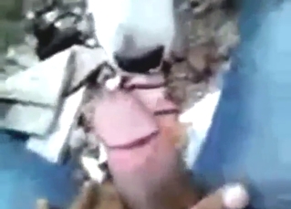 Dog ends close to procurement fucked after POV oral sex