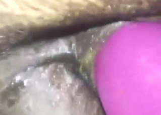 Close-up pleasure with a sexy stallion taking it