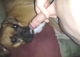 His Hawkshaw feels plus looks hot painless fuck anent this one