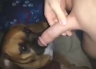 His Hawkshaw feels plus looks hot painless fuck anent this one