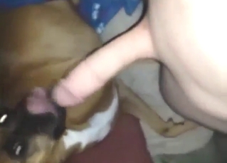 His Hawkshaw feels plus looks hot painless fuck anent this one