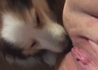 Bag worshipping that pussy up close, contrastive