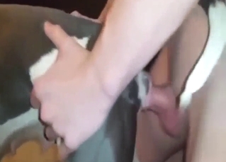 Dude is going to bonk a glum animal from behind