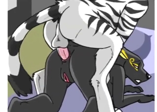 Snow leopard using its penis to fuck a flossy hole