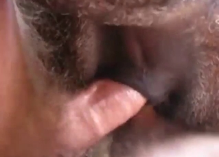 Trine scene all over a donkey taking dick