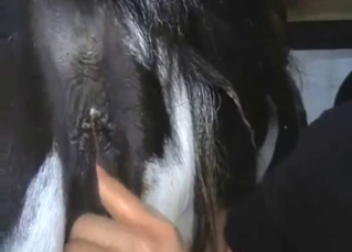 Guy with a fixed flannel fucks a sexy animal