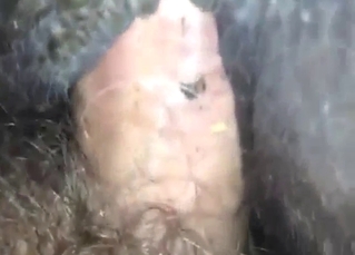 Give close and personal pony fuck with great sex