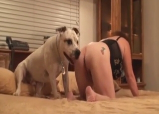 Doggystyle bestiality sex with a horny daughter