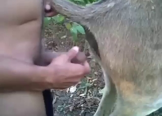 Sexy animal HAS TO enjoy this zoo sex be that as it may