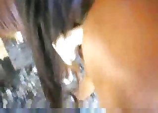 Horse tight anus is getting stimulated