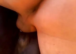 Cute stallion fucked in the doggy style Point of view