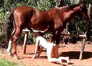 Zoophile sucking mare’s brown cock
