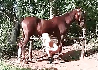 Long legged blonde fucks with a pony