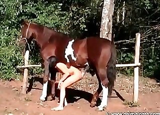 Stallion is eyeing an amazing striptease