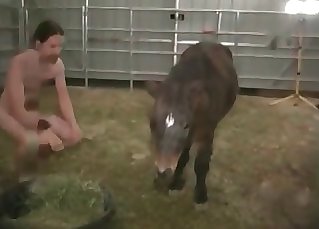 Small pony ravaged in the ass