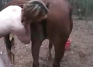 Pony enjoys perverted anal hook-up
