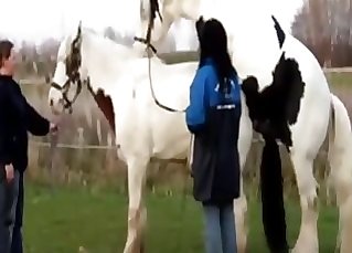 Amazing outdoors action with a horse