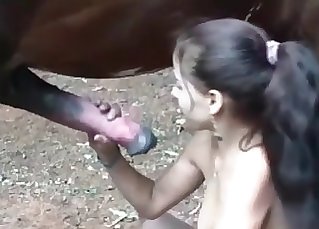 Sexy horse is getting bj'ed by a good brunette