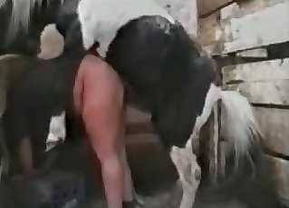 Farmer fucked by a hefty stallion