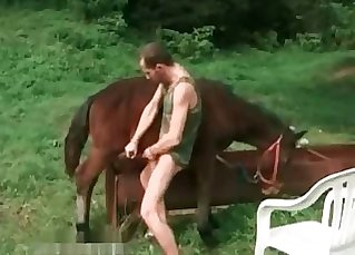 Filthy anal bang-out with a stallion