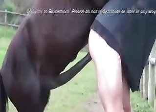 Dude fucked from behind by a horse