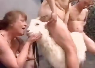 Three men are fucking a adorable white animal one by one