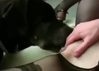 Zoo sex with a girl who spreads her frontier fingers be fitting of kill