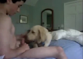 18-year-old twink bonking his dog on Omegle