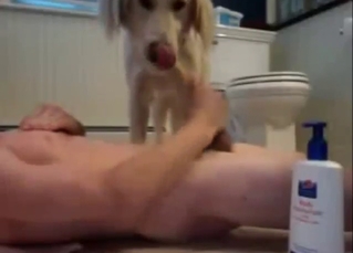 18-year-old twink bonking his dog on Omegle