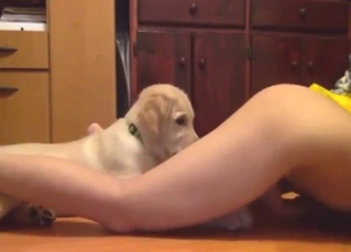 Fuck on another level, hottie wants dog tongue