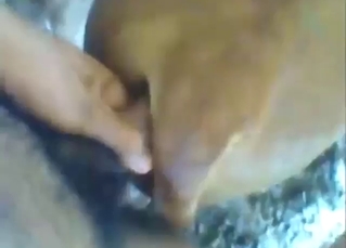 Guy shows what he can do with a kinky calf