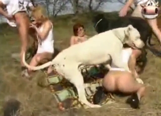 Dog fuck movie concerning a redhead and interexchange hoes