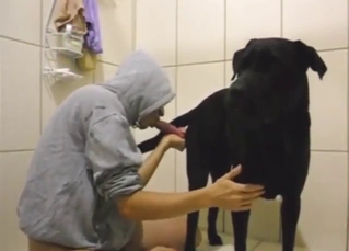 Newest sex scene with a dog-sucking zoophile