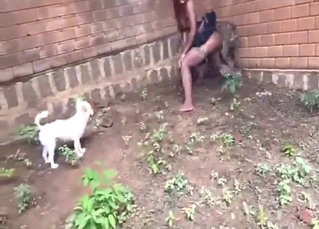 Pussy fucked from behind just about a therapeutic vid